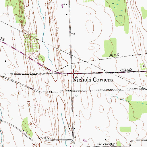 Topographic Map of Nichols Corners, NY