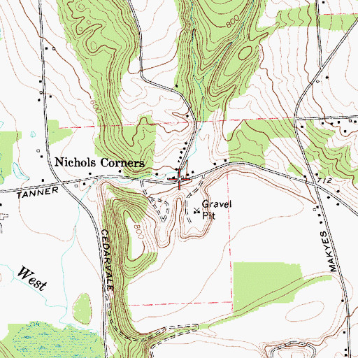 Topographic Map of Nichols Corners, NY