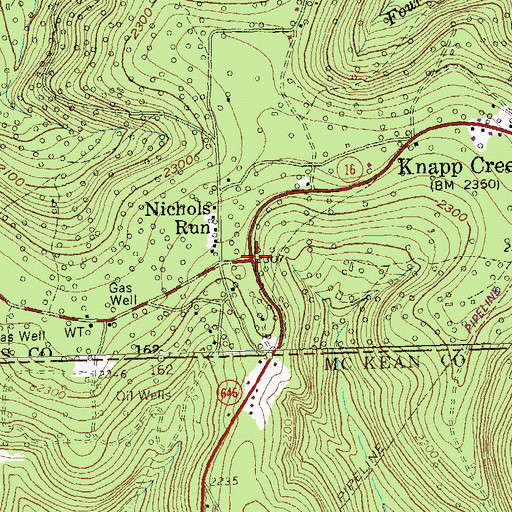 Topographic Map of Nichols Run, NY