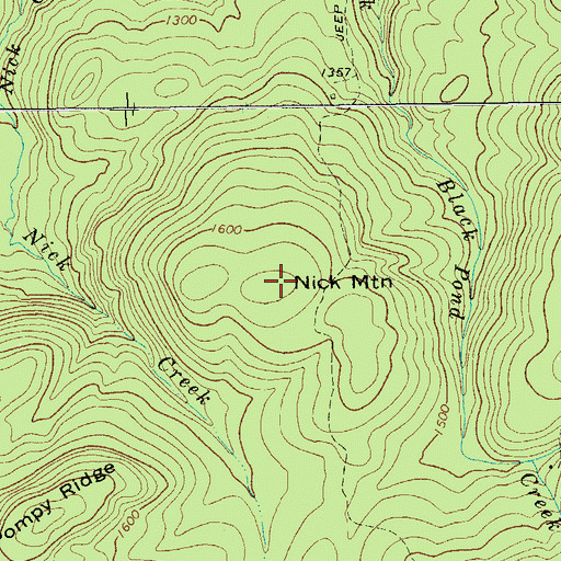 Topographic Map of Nick Mountain, NY