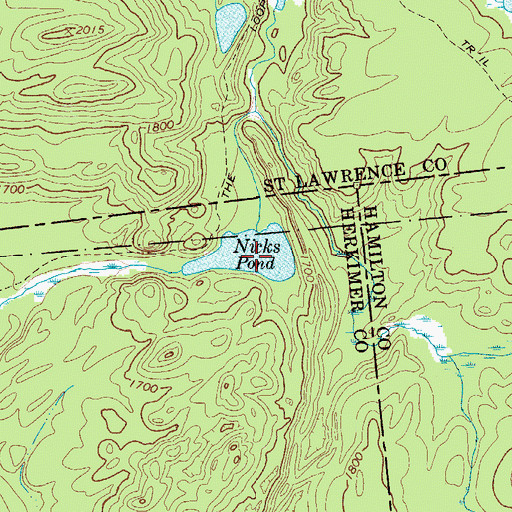 Topographic Map of Nicks Pond, NY