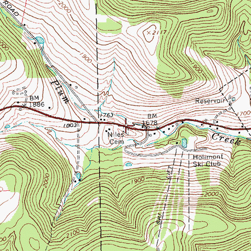 Topographic Map of Niles Cemetery, NY