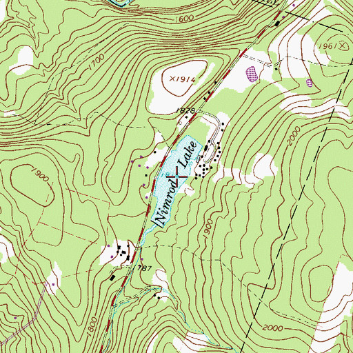 Topographic Map of Nimrod Lake, NY