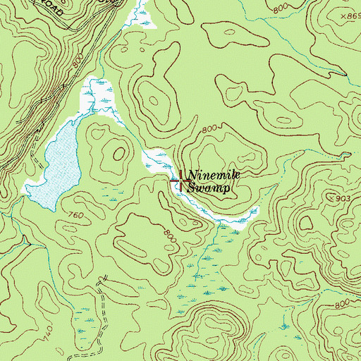 Topographic Map of Ninemile Swamp, NY