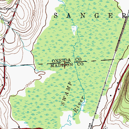 Topographic Map of Ninemile Swamp, NY