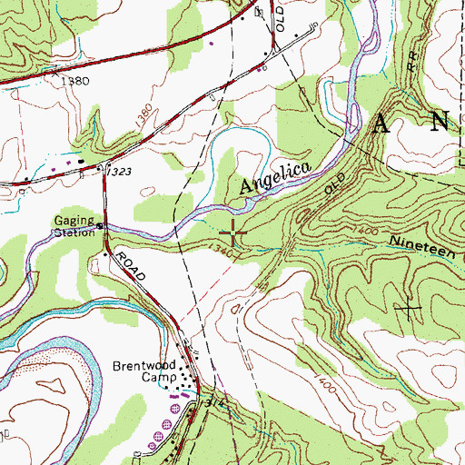 Topographic Map of Nineteen Gully, NY
