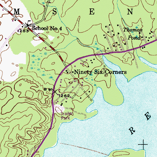 Topographic Map of Ninety Six Corners, NY