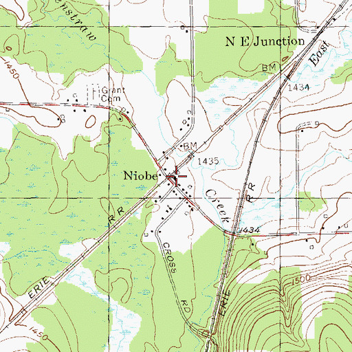 Topographic Map of Niobe, NY