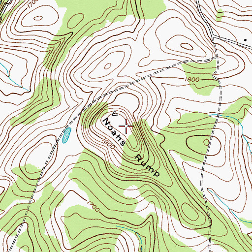 Topographic Map of Noahs Rump, NY