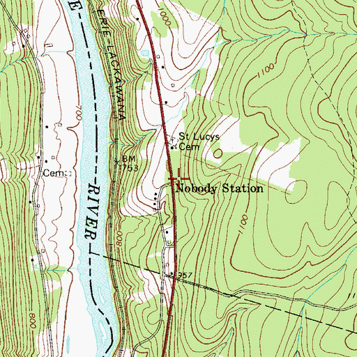 Topographic Map of Nobody Station, NY