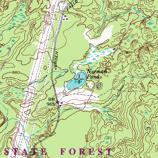 Topographic Map of Norman Pond, NY