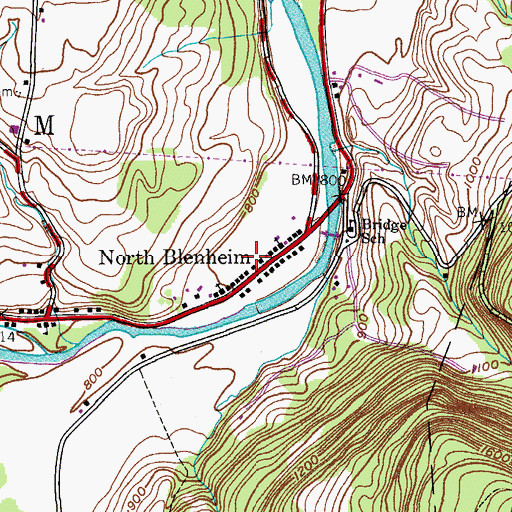 Topographic Map of North Blenheim, NY