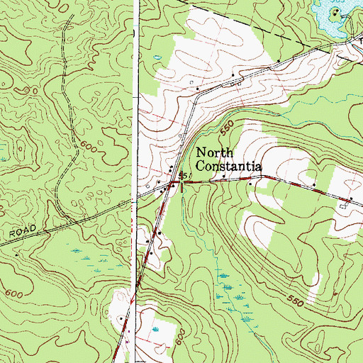 Topographic Map of North Constantia, NY