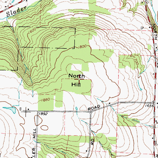 Topographic Map of North Hill, NY