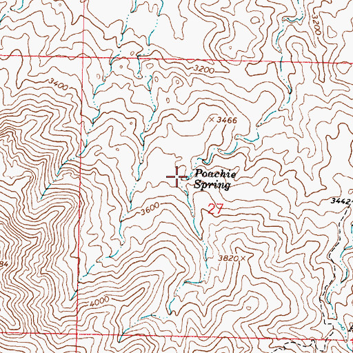 Topographic Map of Poachie Spring, AZ