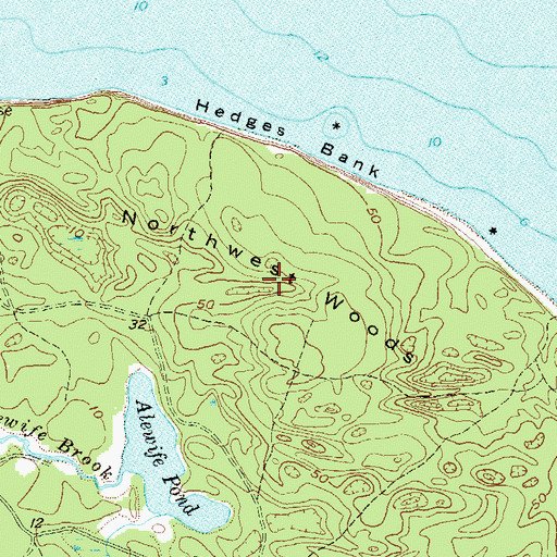 Topographic Map of Northwest Woods, NY