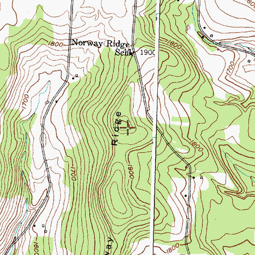 Topographic Map of Norway Ridge, NY