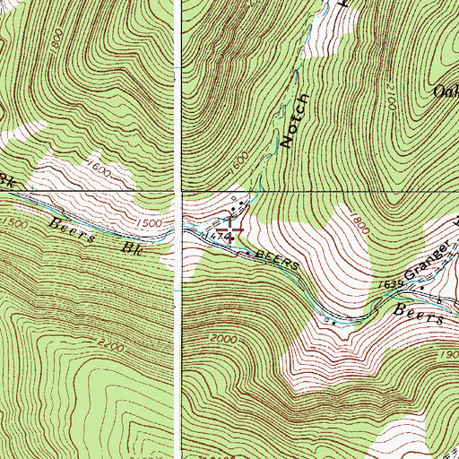 Topographic Map of Notch Hollow, NY