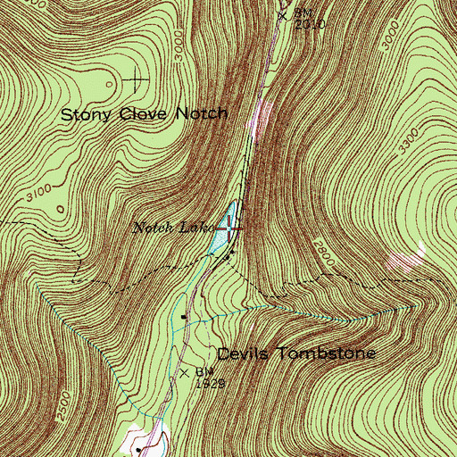 Topographic Map of Notch Lake, NY