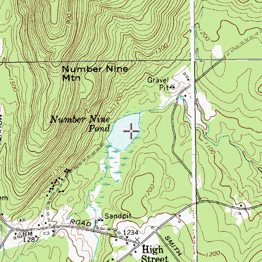 Topographic Map of Number Nine Pond, NY
