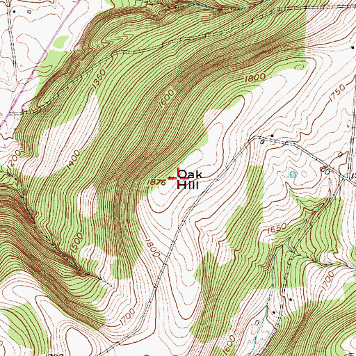 Topographic Map of Oak Hill, NY