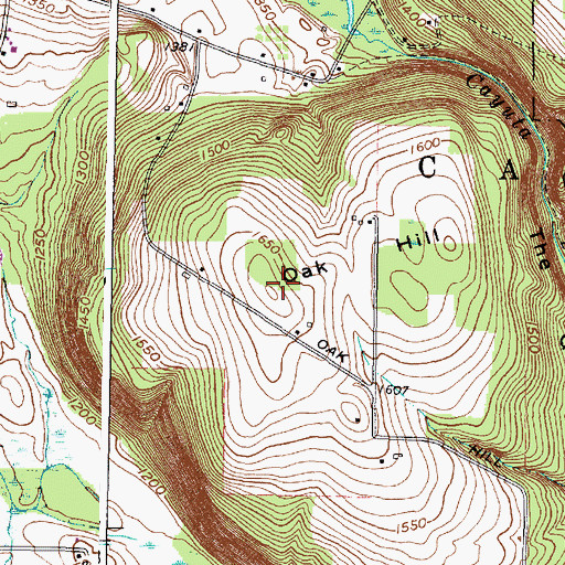 Topographic Map of Oak Hill, NY