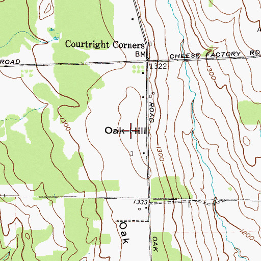 Topographic Map of Oak Hill, NY