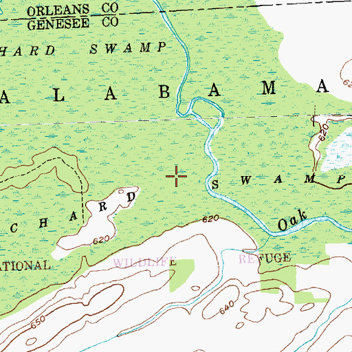Topographic Map of Oak Orchard Swamp, NY