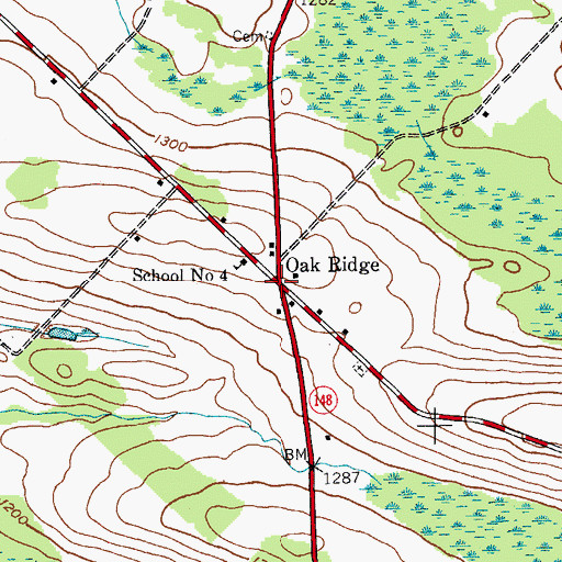 Topographic Map of Oak Ridge, NY