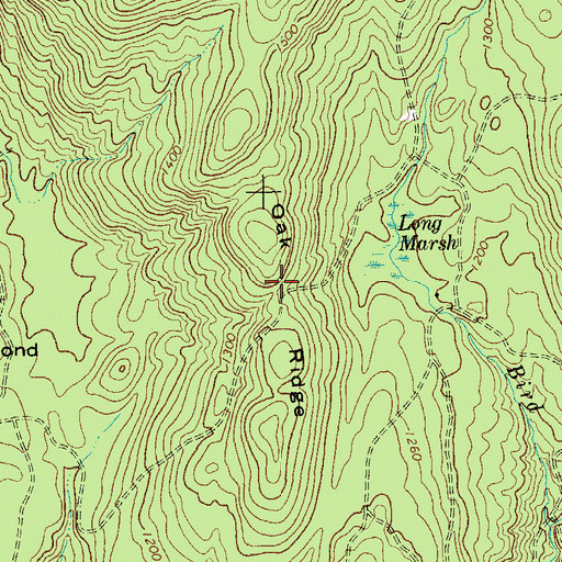 Topographic Map of Oak Ridge, NY