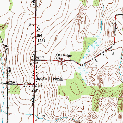 Topographic Map of Oak Ridge Cemetery, NY