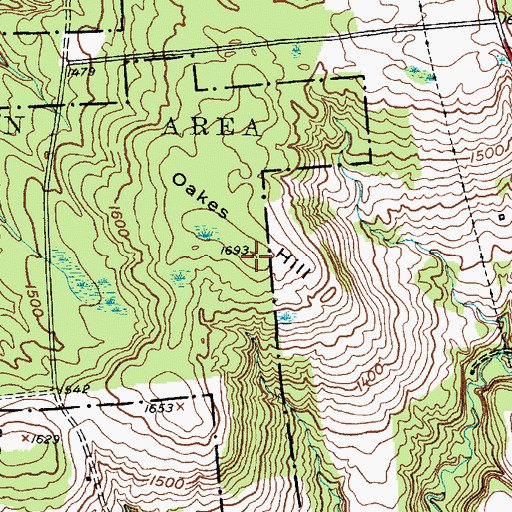 Topographic Map of Oakes Hill, NY