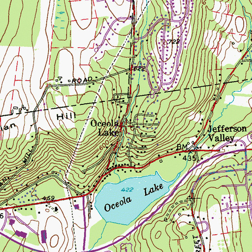 Topographic Map of Oceola Lake, NY