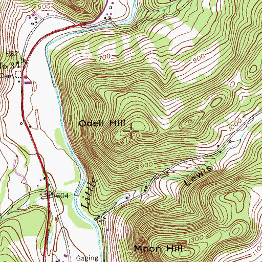 Topographic Map of Odell Hill, NY