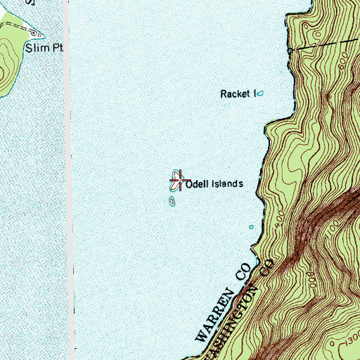 Topographic Map of Odell Islands, NY