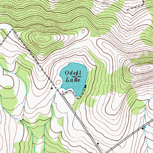 Topographic Map of Odell Lake, NY