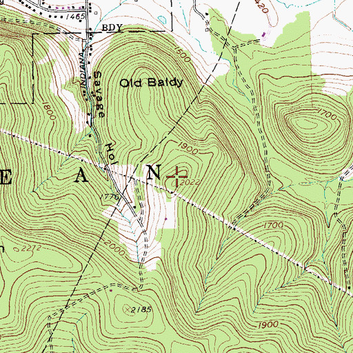 Topographic Map of Old Baldy, NY