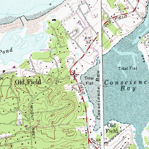 Topographic Map of Old Field, NY