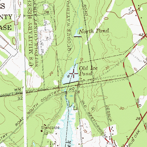 Topographic Map of Old Ice Pond, NY