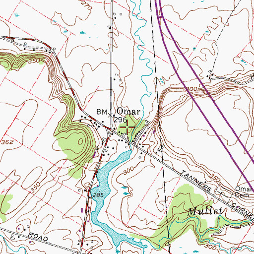 Topographic Map of Omar, NY