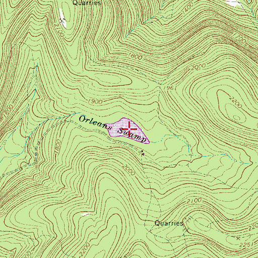 Topographic Map of Orleans Swamp, NY