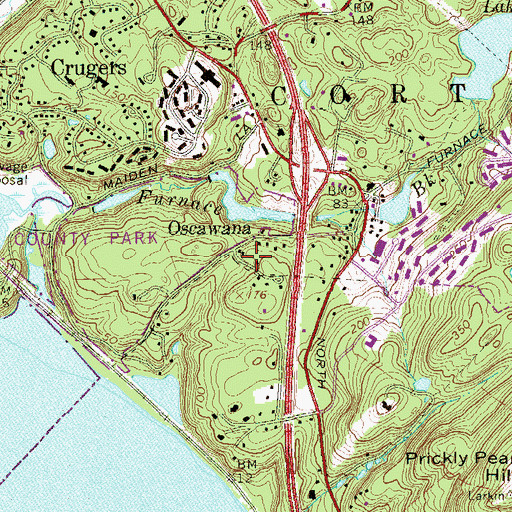 Topographic Map of Oscawana, NY