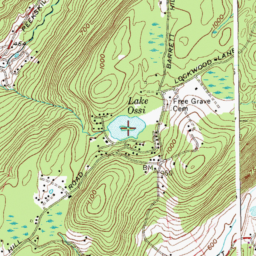 Topographic Map of Lake Ossi, NY