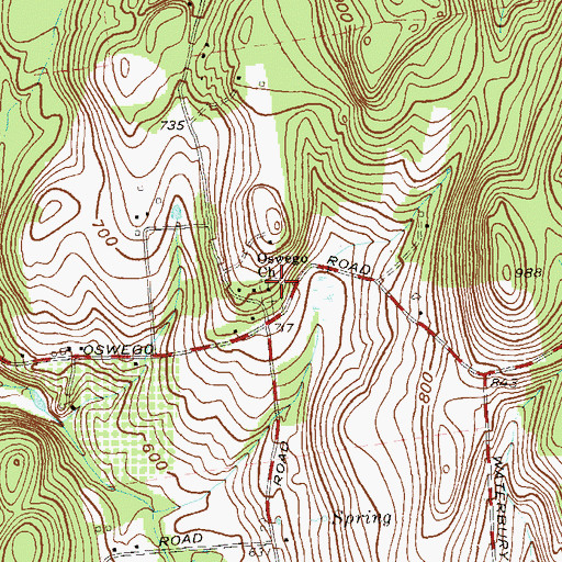 Topographic Map of Oswego Church, NY