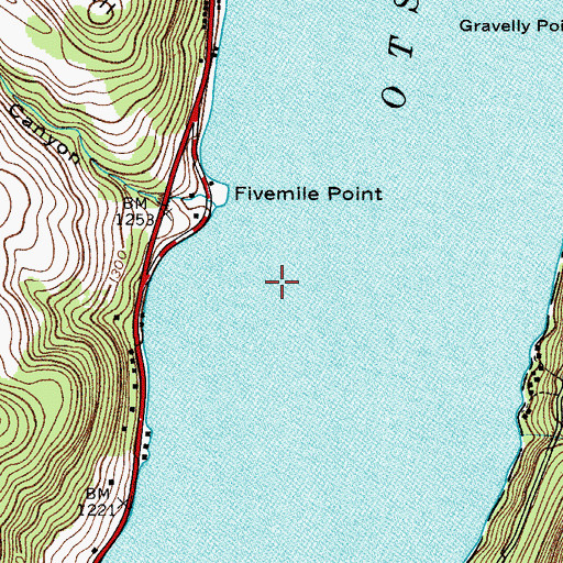 Topographic Map of Otsego Lake, NY