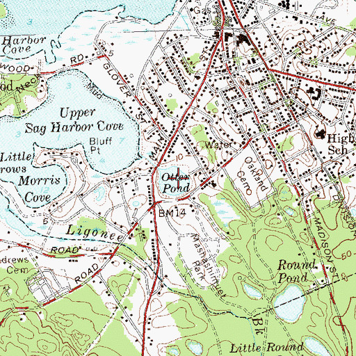 Topographic Map of Otter Pond, NY