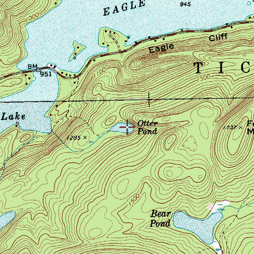 Topographic Map of Otter Pond, NY