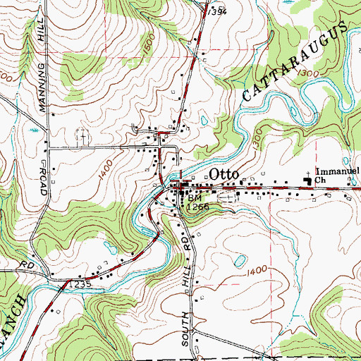 Topographic Map of Otto, NY