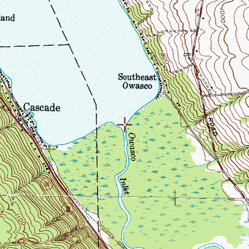 Topographic Map of Owasco Inlet, NY