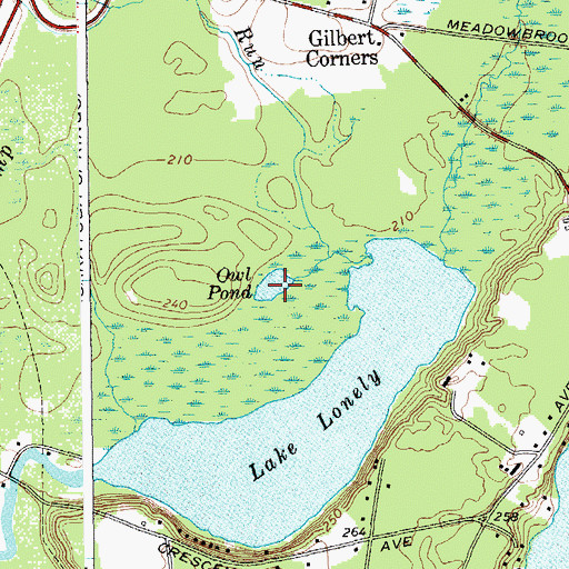 Topographic Map of Owl Pond, NY